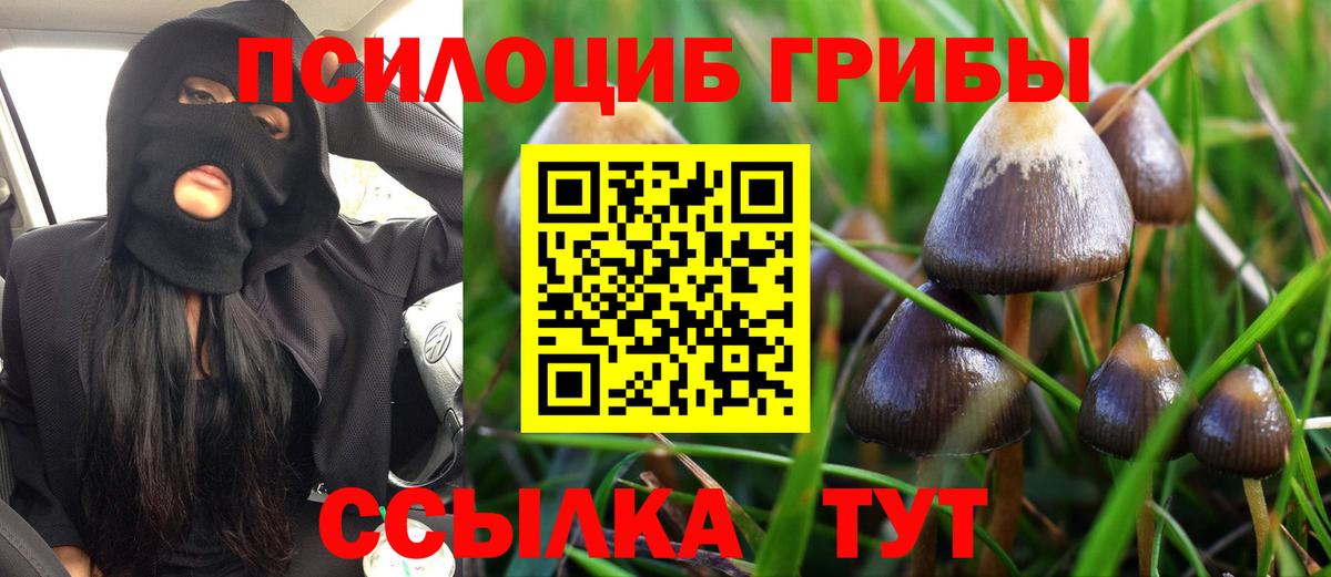 Псилоцибиновые грибы Cubensis  Вход с VPN  Псилоцибиновые грибы прущие грибы  Коркино 
